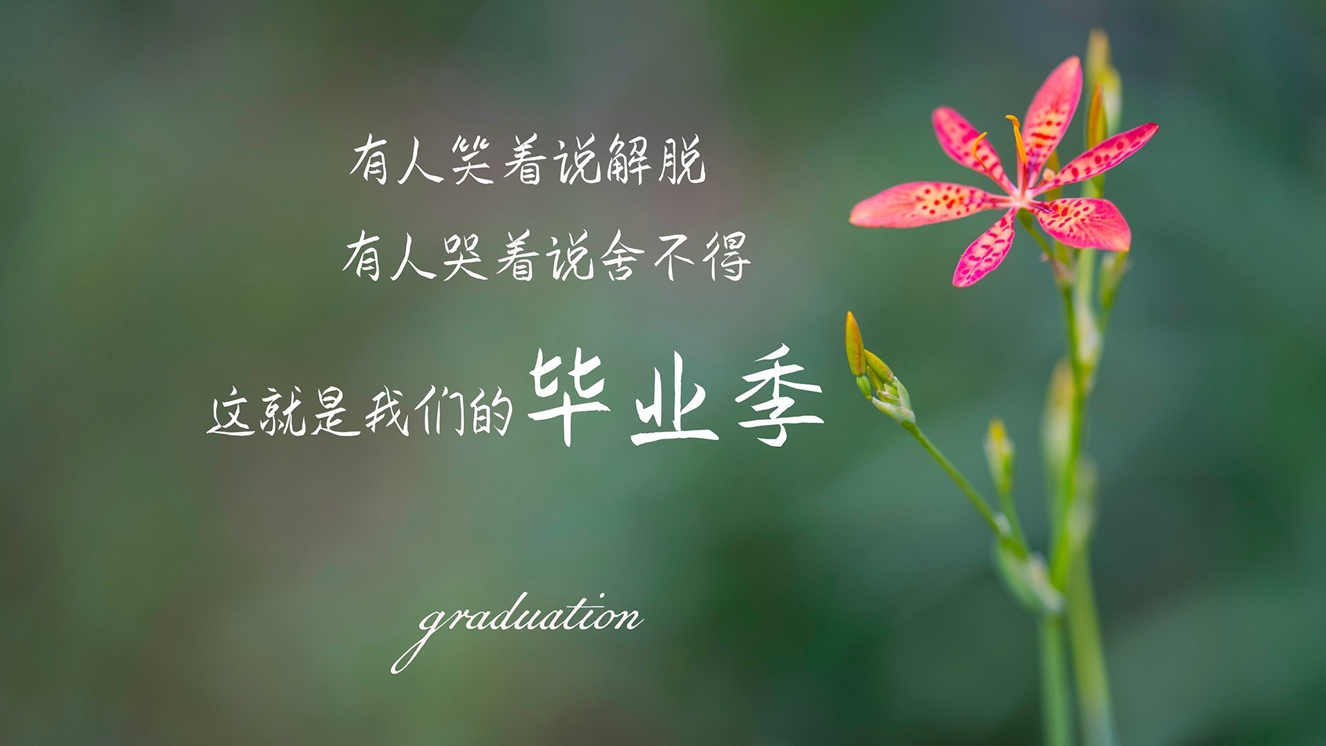 开云体育链接-_青少年极限赛：超越恐惧，迎接挑战_，少年 极限挑战