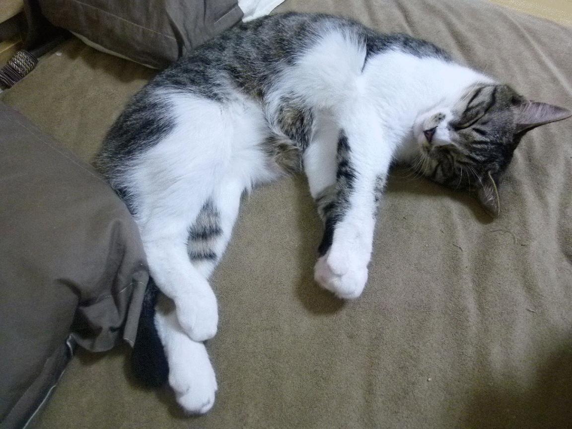 kaiyun体育app-_难忘瞬间：年度最佳比赛瞬间盘点_，经典比赛回顾