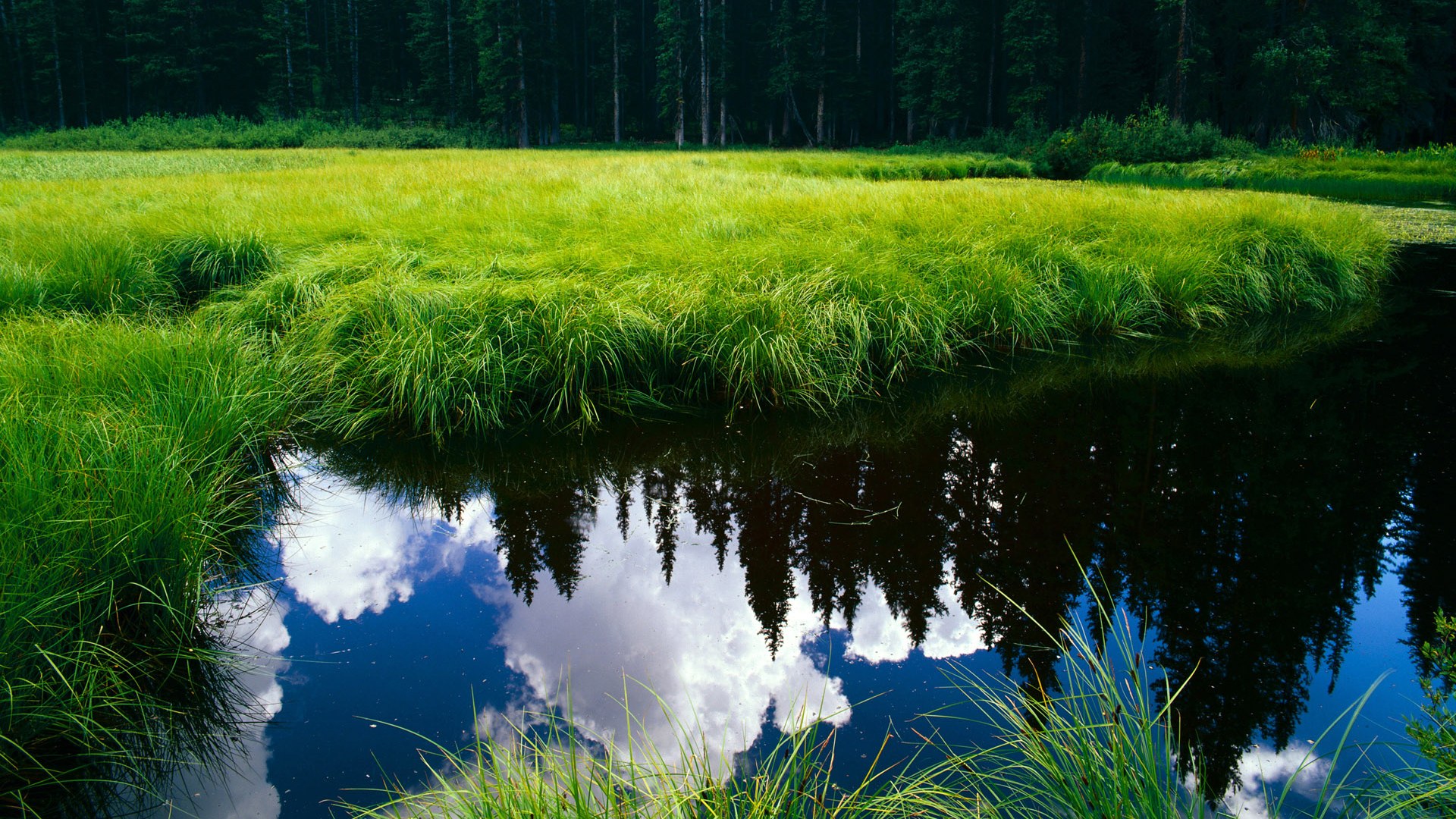 开云体育在线赛事直播-光明记忆“未来战士”冠军联赛火热吸引眼球，未来的光明使者