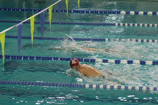 开云·体育官方网站入口-张雨霏自由泳赛段发力迅速，张雨霏自由泳实力